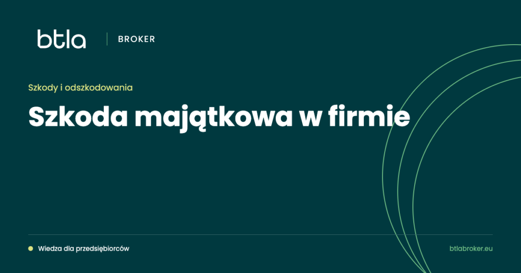 BTLA Broker — szkoda majątkowa w firmie
